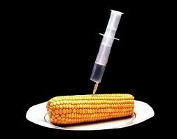 Manger bio pour éviter les OGM, engrais et autres pesticides toxiques...