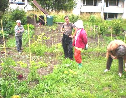 Jardinage biologique aux jardins coopératifs du Locle