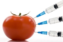 Roundup et OGM