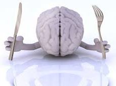 Le cerveau sous influence alimentaire