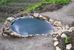 Un petit bassin au jardin