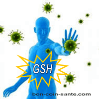 Le GSH, une protection à toute épreuve